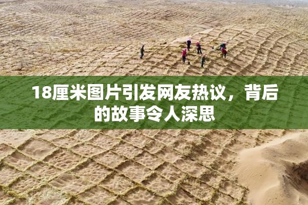 18厘米图片引发网友热议，背后的故事令人深思