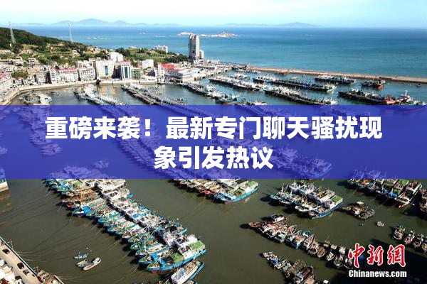 重磅来袭！最新专门聊天骚扰现象引发热议