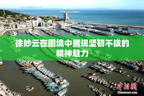 徐妙云在困境中展现坚韧不拔的精神魅力