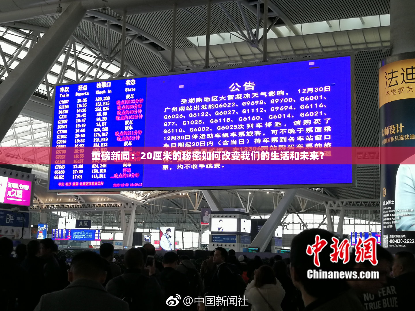重磅新闻：20厘米的秘密如何改变我们的生活和未来？