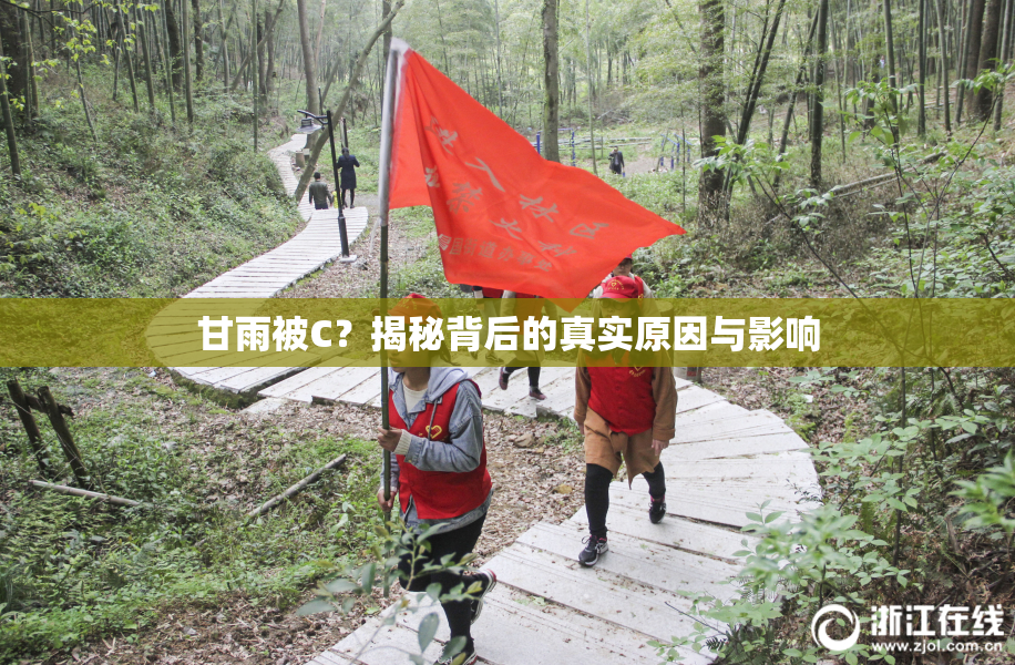 甘雨被C？揭秘背后的真实原因与影响