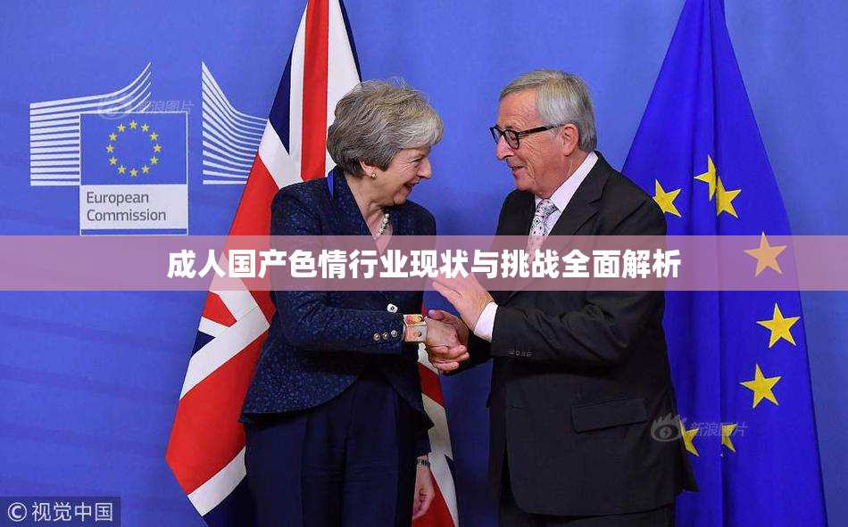 成人国产色情行业现状与挑战全面解析