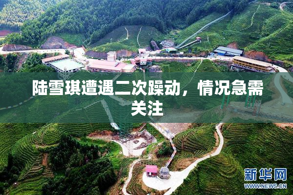 陆雪琪遭遇二次躁动，情况急需关注