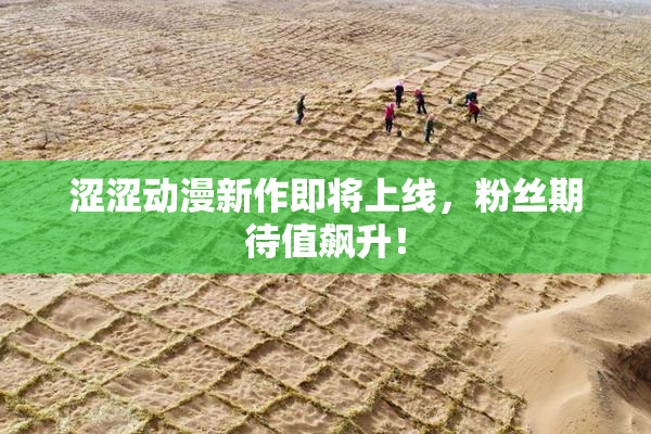 涩涩动漫新作即将上线，粉丝期待值飙升！