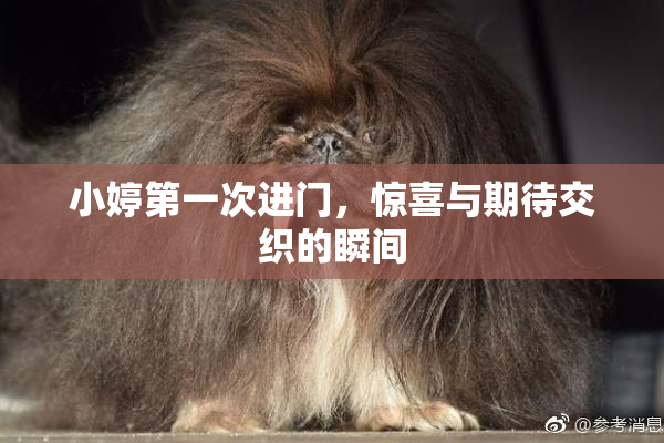 小婷第一次进门，惊喜与期待交织的瞬间
