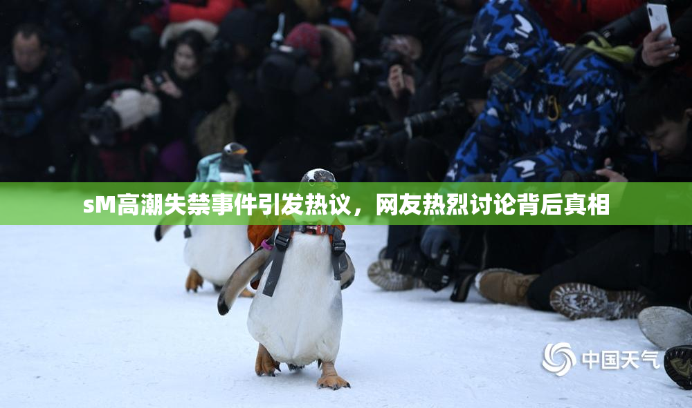 sM高潮失禁事件引发热议，网友热烈讨论背后真相