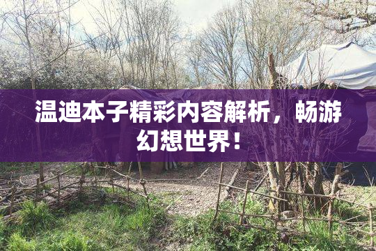 温迪本子精彩内容解析，畅游幻想世界！
