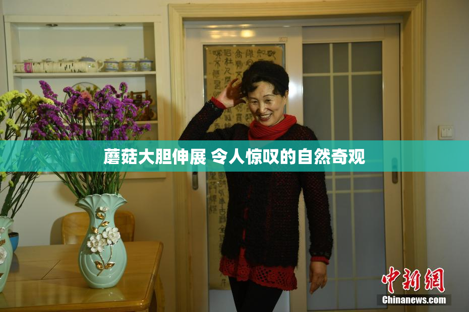 蘑菇大胆伸展 令人惊叹的自然奇观