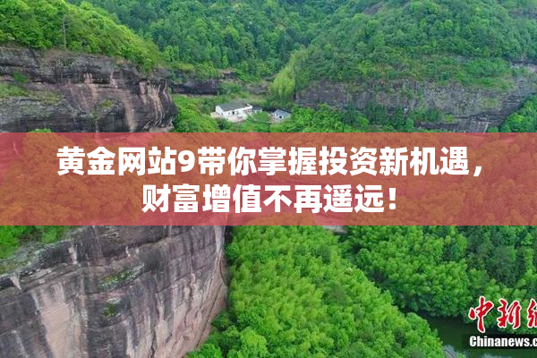 黄金网站9带你掌握投资新机遇，财富增值不再遥远！