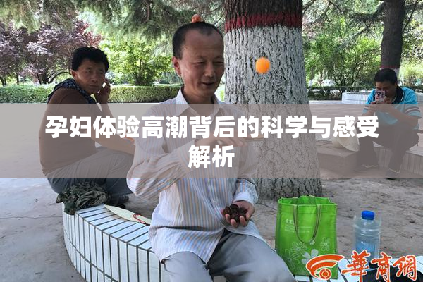 孕妇体验高潮背后的科学与感受解析
