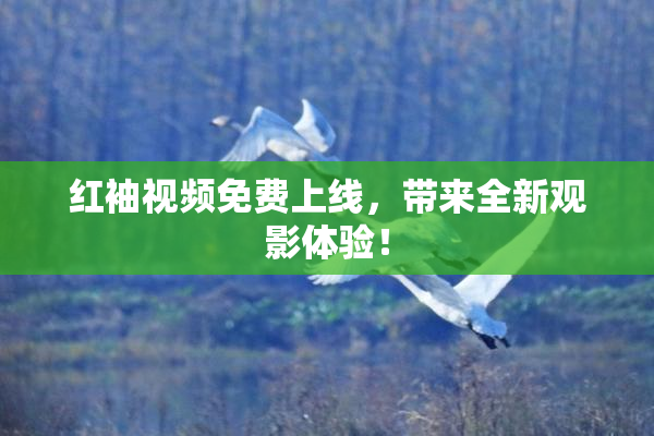 红袖视频免费上线，带来全新观影体验！