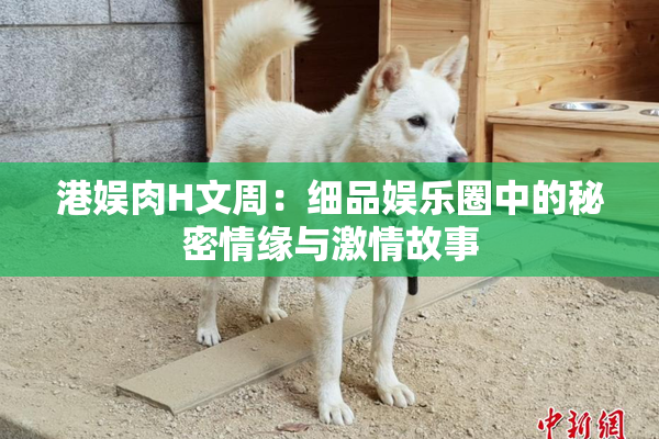港娱肉H文周：细品娱乐圈中的秘密情缘与激情故事