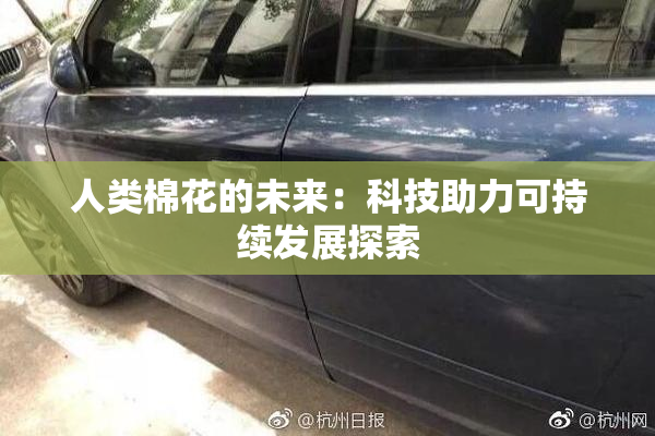 人类棉花的未来：科技助力可持续发展探索