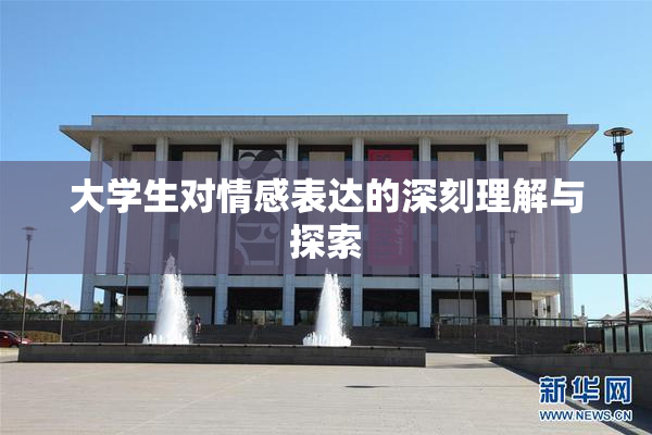 大学生对情感表达的深刻理解与探索