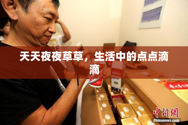 天天夜夜草草，生活中的点点滴滴
