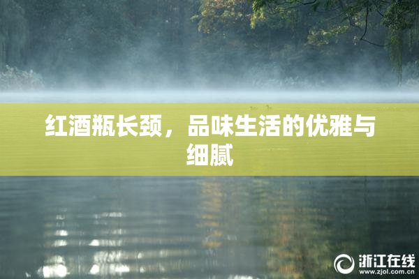 红酒瓶长颈，品味生活的优雅与细腻
