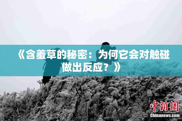 《含羞草的秘密：为何它会对触碰做出反应？》