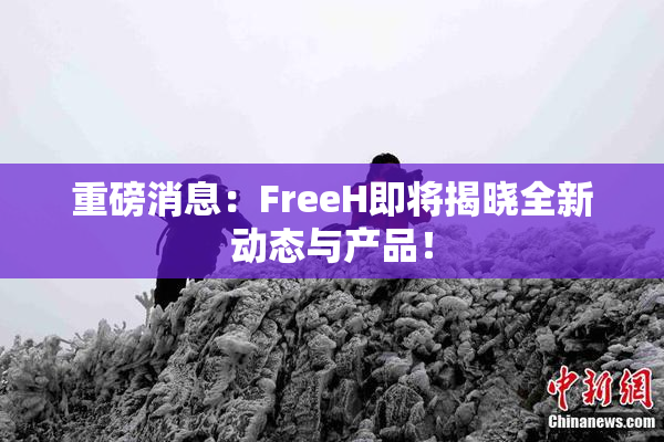 重磅消息：FreeH即将揭晓全新动态与产品！