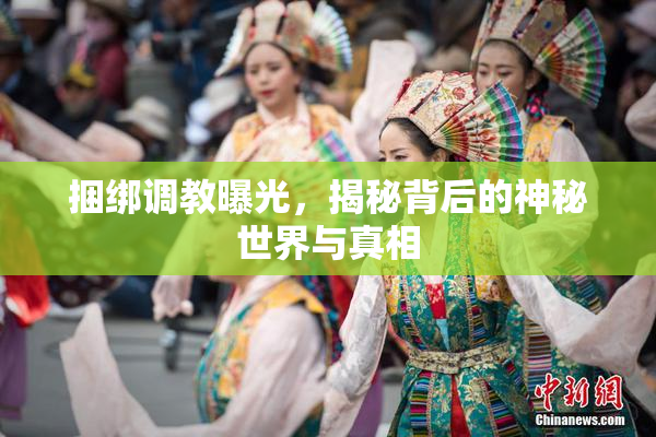 捆绑调教曝光，揭秘背后的神秘世界与真相