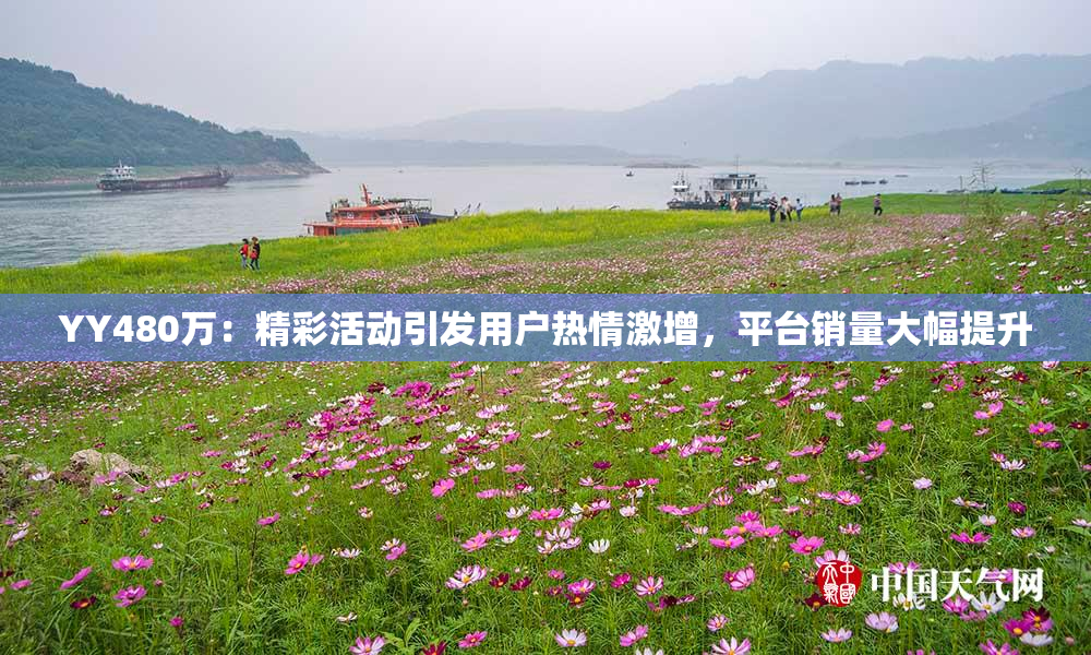 YY480万：精彩活动引发用户热情激增，平台销量大幅提升