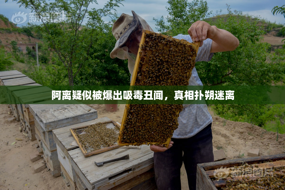 阿离疑似被爆出吸毒丑闻，真相扑朔迷离