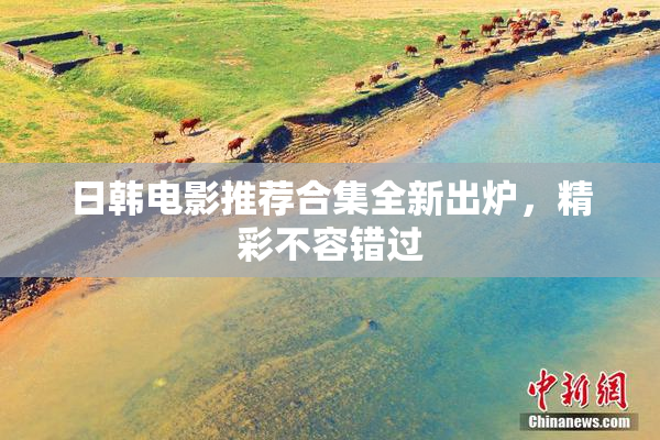 日韩电影推荐合集全新出炉，精彩不容错过