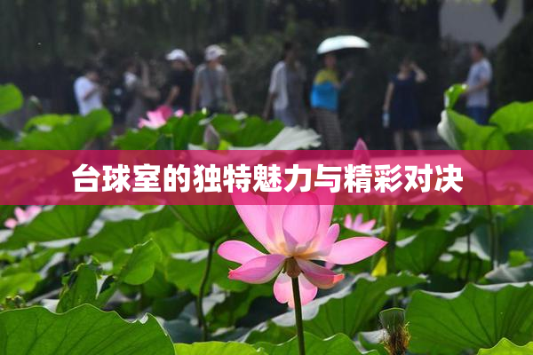 台球室的独特魅力与精彩对决