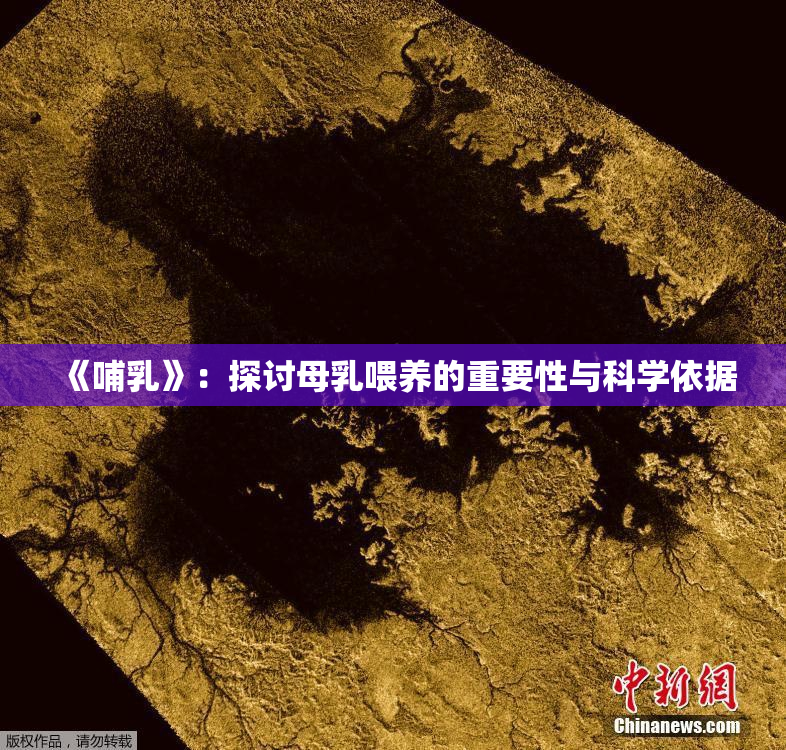 《哺乳》：探讨母乳喂养的重要性与科学依据