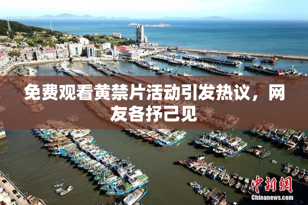 免费观看黄禁片活动引发热议，网友各抒己见