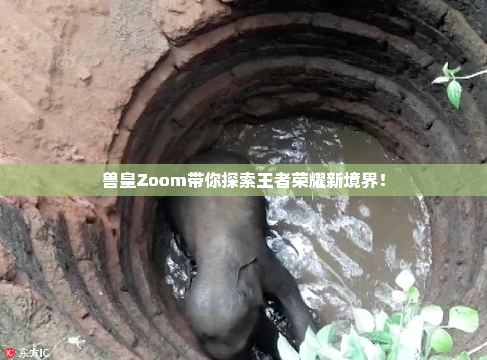 兽皇Zoom带你探索王者荣耀新境界！