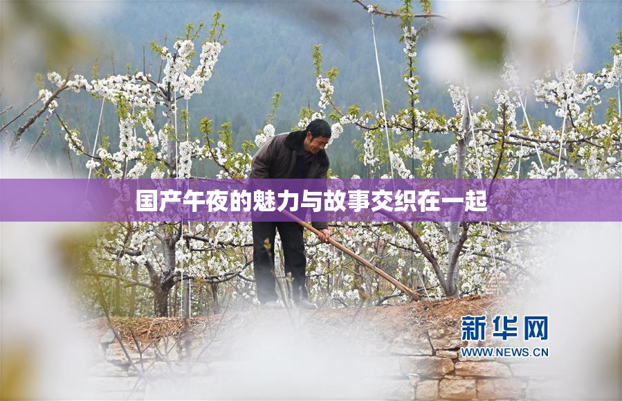 国产午夜的魅力与故事交织在一起