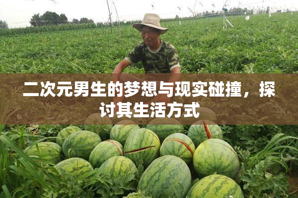 二次元男生的梦想与现实碰撞，探讨其生活方式