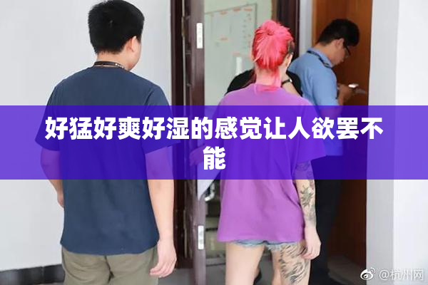 好猛好爽好湿的感觉让人欲罢不能