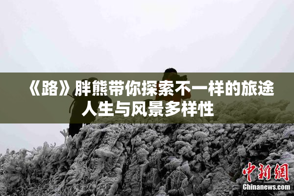《路》胖熊带你探索不一样的旅途人生与风景多样性