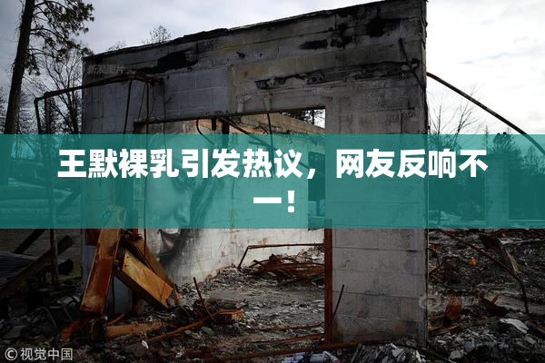 王默裸乳引发热议，网友反响不一！