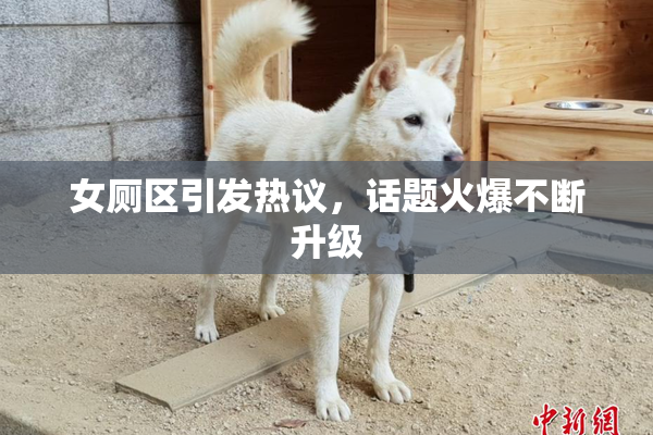 女厕区引发热议，话题火爆不断升级