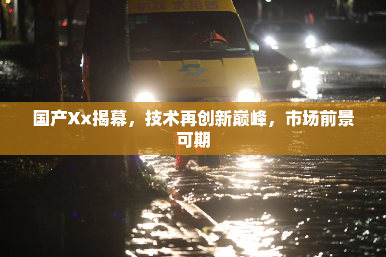 国产Xx揭幕，技术再创新巅峰，市场前景可期