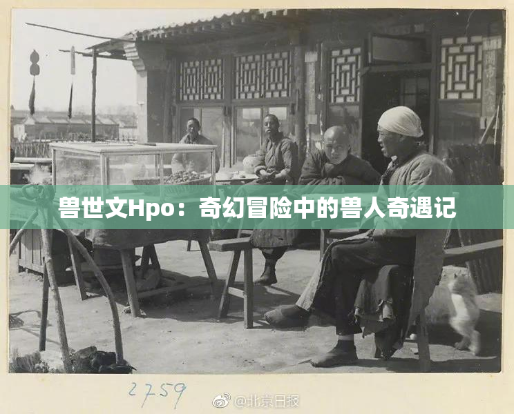兽世文Hpo：奇幻冒险中的兽人奇遇记