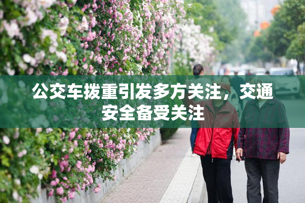 公交车拨重引发多方关注，交通安全备受关注