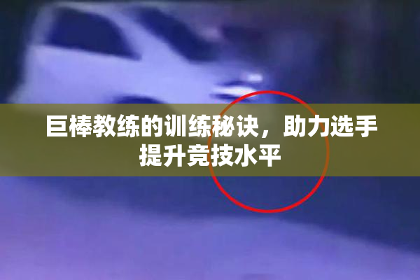 巨棒教练的训练秘诀，助力选手提升竞技水平