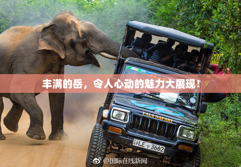 丰满的岳，令人心动的魅力大展现！