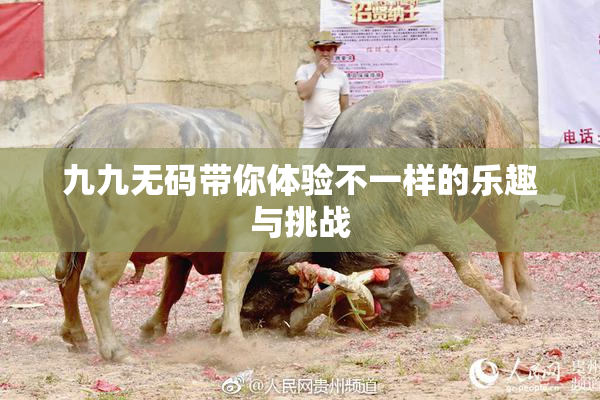 九九无码带你体验不一样的乐趣与挑战
