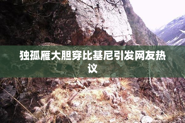 独孤雁大胆穿比基尼引发网友热议