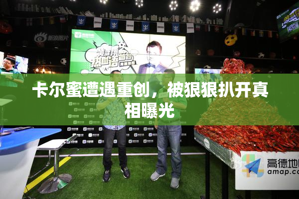 卡尔蜜遭遇重创，被狠狠扒开真相曝光