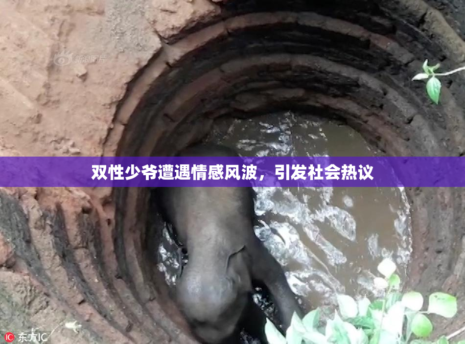 双性少爷遭遇情感风波，引发社会热议