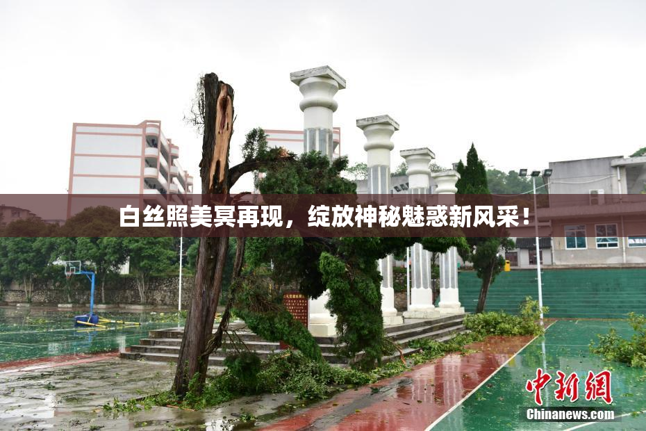 白丝照美冥再现，绽放神秘魅惑新风采！