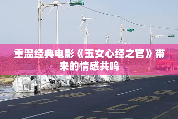 重温经典电影《玉女心经之官》带来的情感共鸣