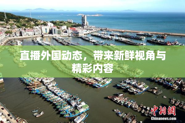 直播外国动态，带来新鲜视角与精彩内容