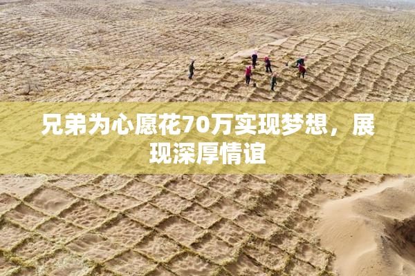 兄弟为心愿花70万实现梦想，展现深厚情谊