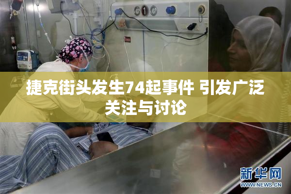 捷克街头发生74起事件 引发广泛关注与讨论